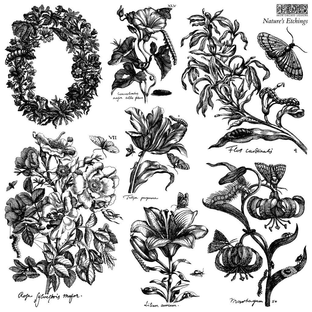 Nature's Etchings IOD 12x12 stamp (2 sheets)