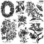 Nature's Etchings IOD 12x12 stamp (2 sheets)