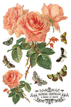 By Any Other Name Transfer Pad 8x12