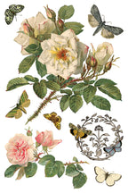 Iron Orchid Design By Any Other Name Floral Element