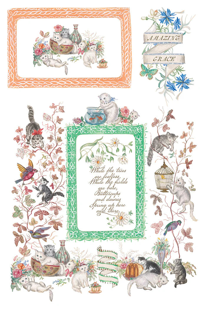 Emily Clare IOD Transfer Page