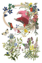 Flora Greca 8 x 12 IOD Transfer Pad