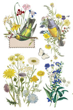 Flora Greca 8 x 12 IOD Transfer Pad