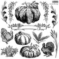 Autumn Blessings IOD Stamp 12x12