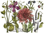 Botanist's Journal IOD transfer 12"x16" pad