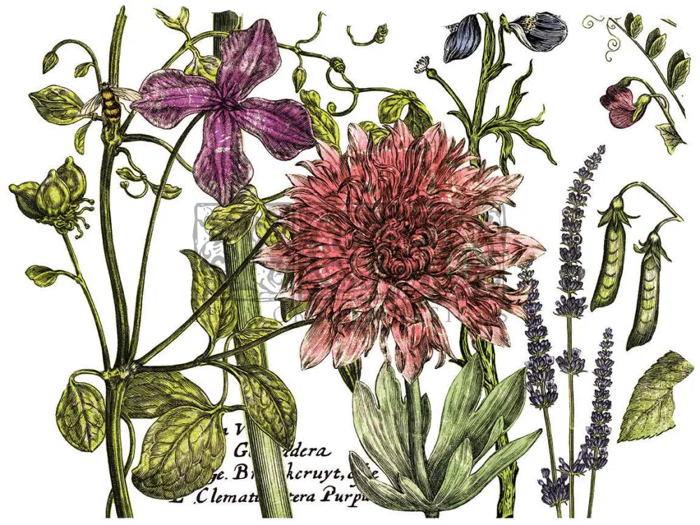 Botanist's Journal IOD transfer 12"x16" pad