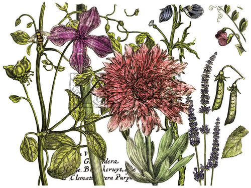 Botanist's Journal IOD transfer 12"x16" pad