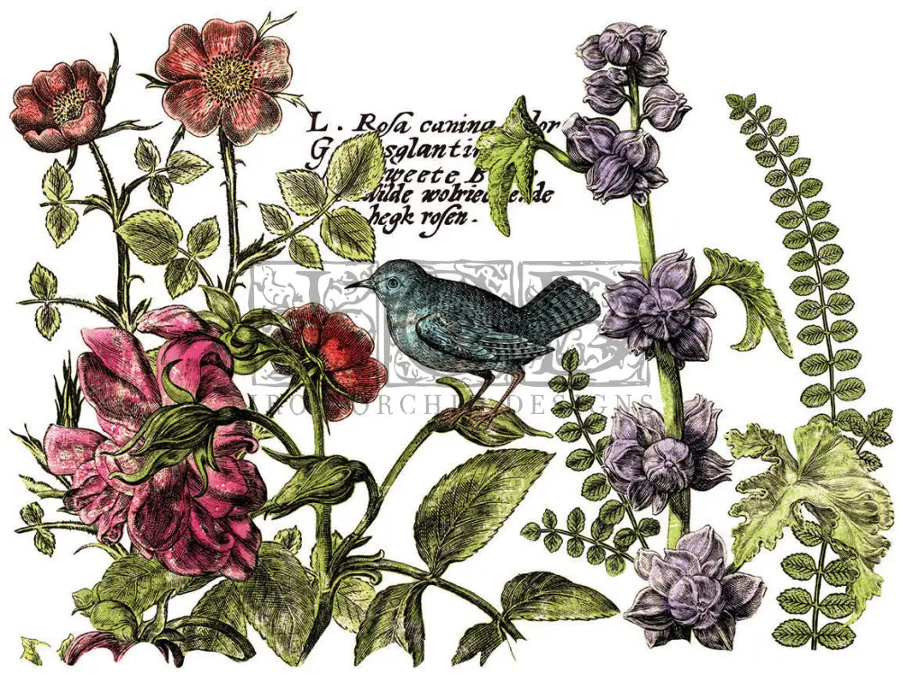 Botanist's Journal IOD transfer 12"x16" pad