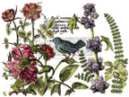 Botanist's Journal IOD transfer 12"x16" pad