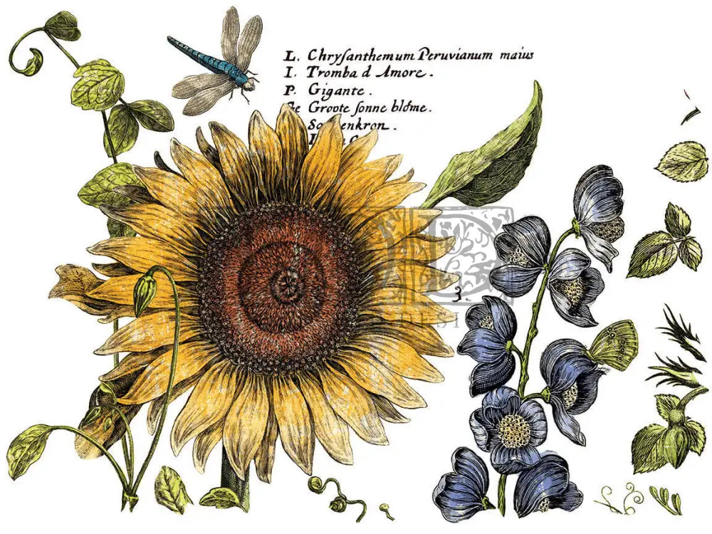 Botanist's Journal IOD transfer 12"x16" pad