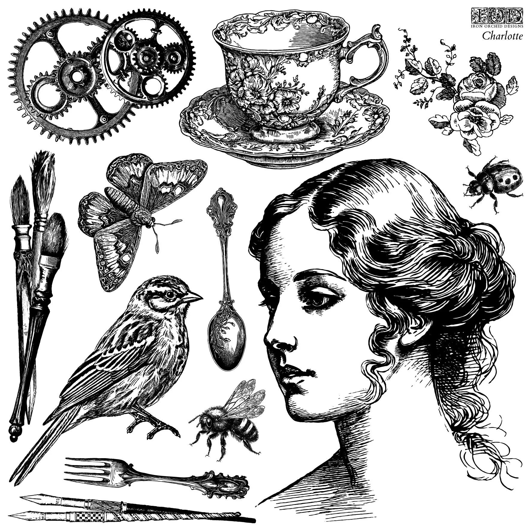 Charlotte IOD Stamp 12x12