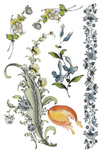 Fairytale Florals IOD Transfer Pad 8x12