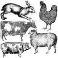 Farm Animals IOD Stamp 12x12