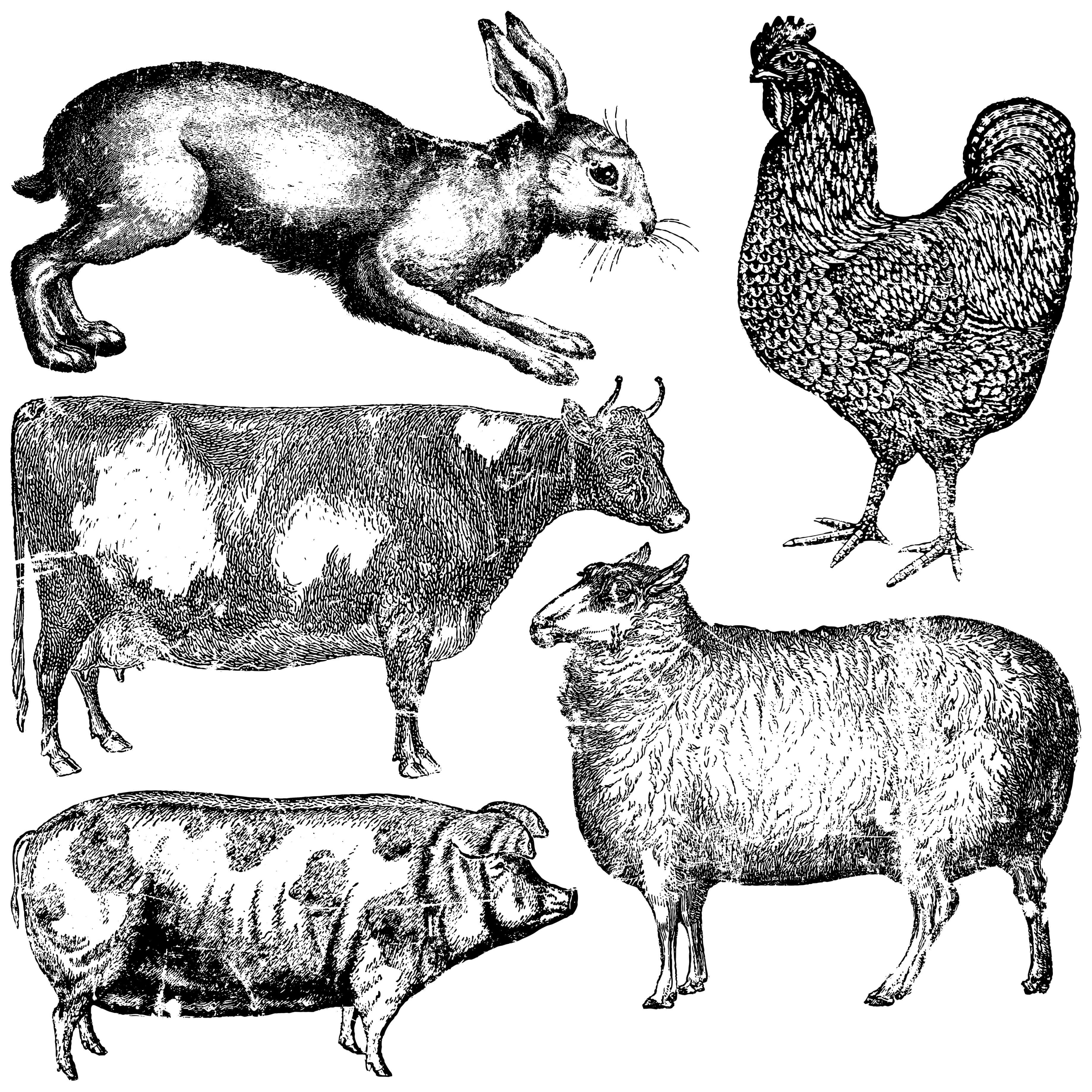 Farm Animals IOD Stamp 12x12