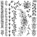 Flora & Vine IOD stamp 12x12
