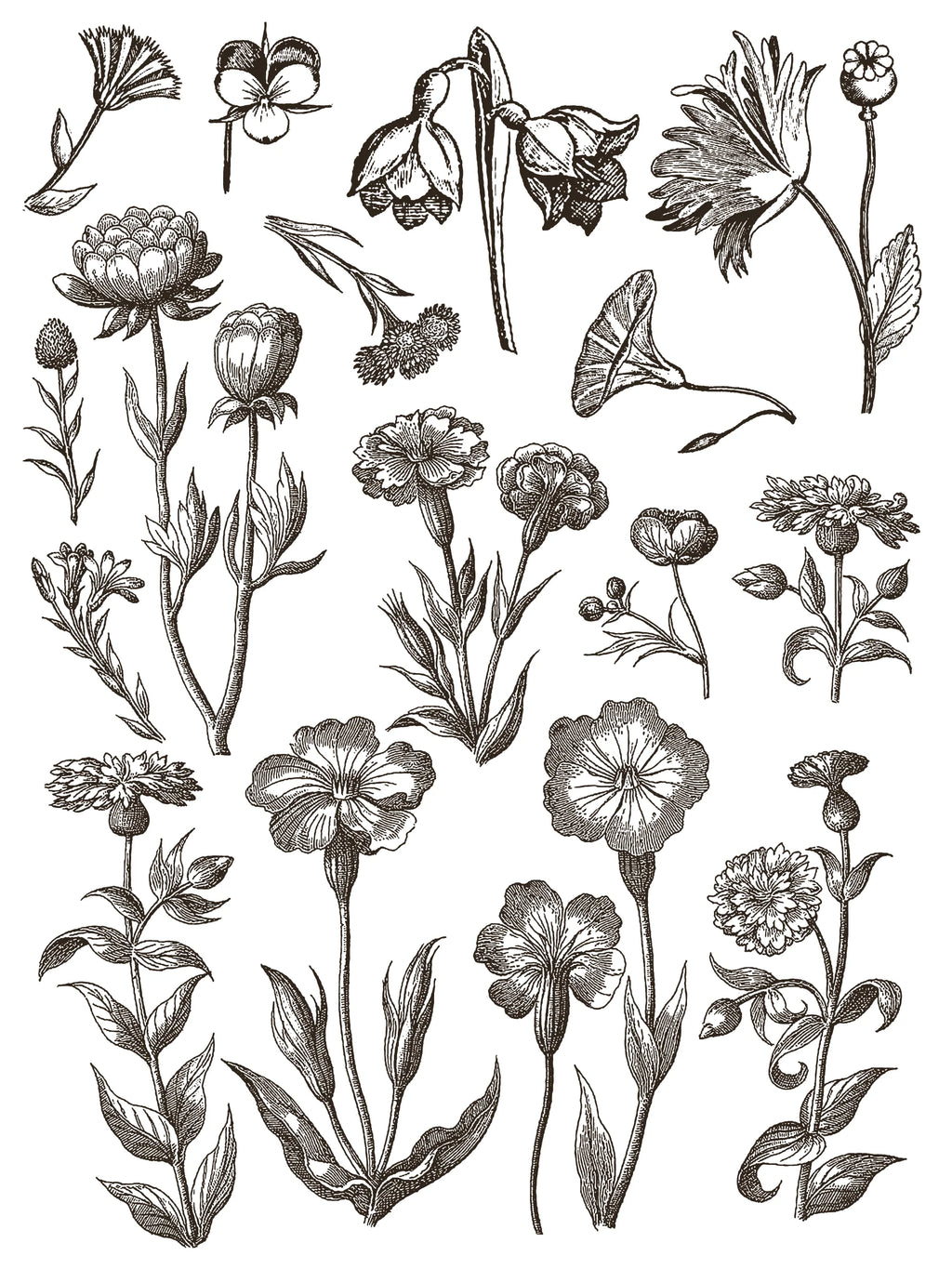 Floriography IOD Paint Inlay 12x16 Pad