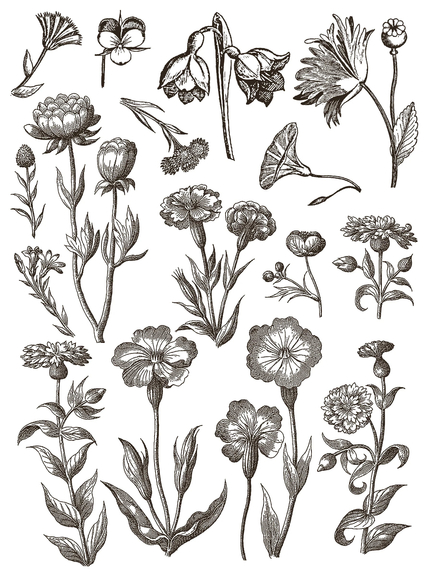 Floriography IOD Paint Inlay 12x16 Pad