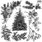 Holly & Pine IOD Stamp 12x12