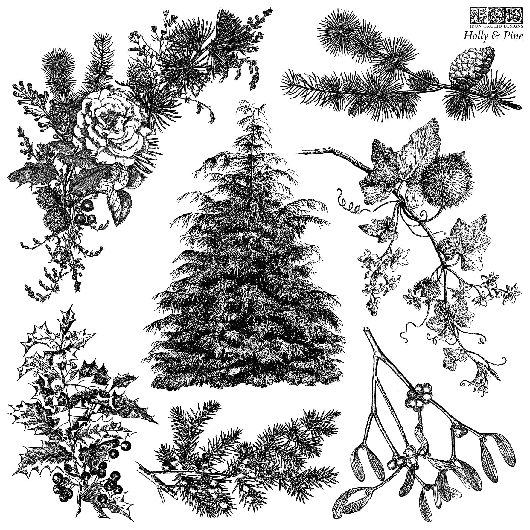 Holly & Pine IOD Stamp 12x12