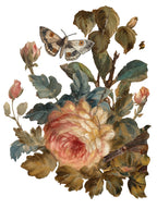 Joie Des Roses IOD Transfer Pad 8x12