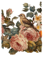 Joie Des Roses IOD Transfer Pad 8x12