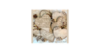 Kindest Regards IOD Stamp 12x12