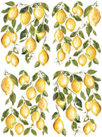 Lemon Drops IOD Transfer Pad 12x16