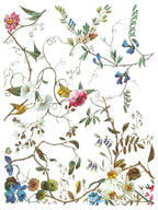 Lost Garden IOD Transfer Pad 12x16