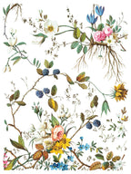 Lost Garden IOD Transfer Pad 12x16