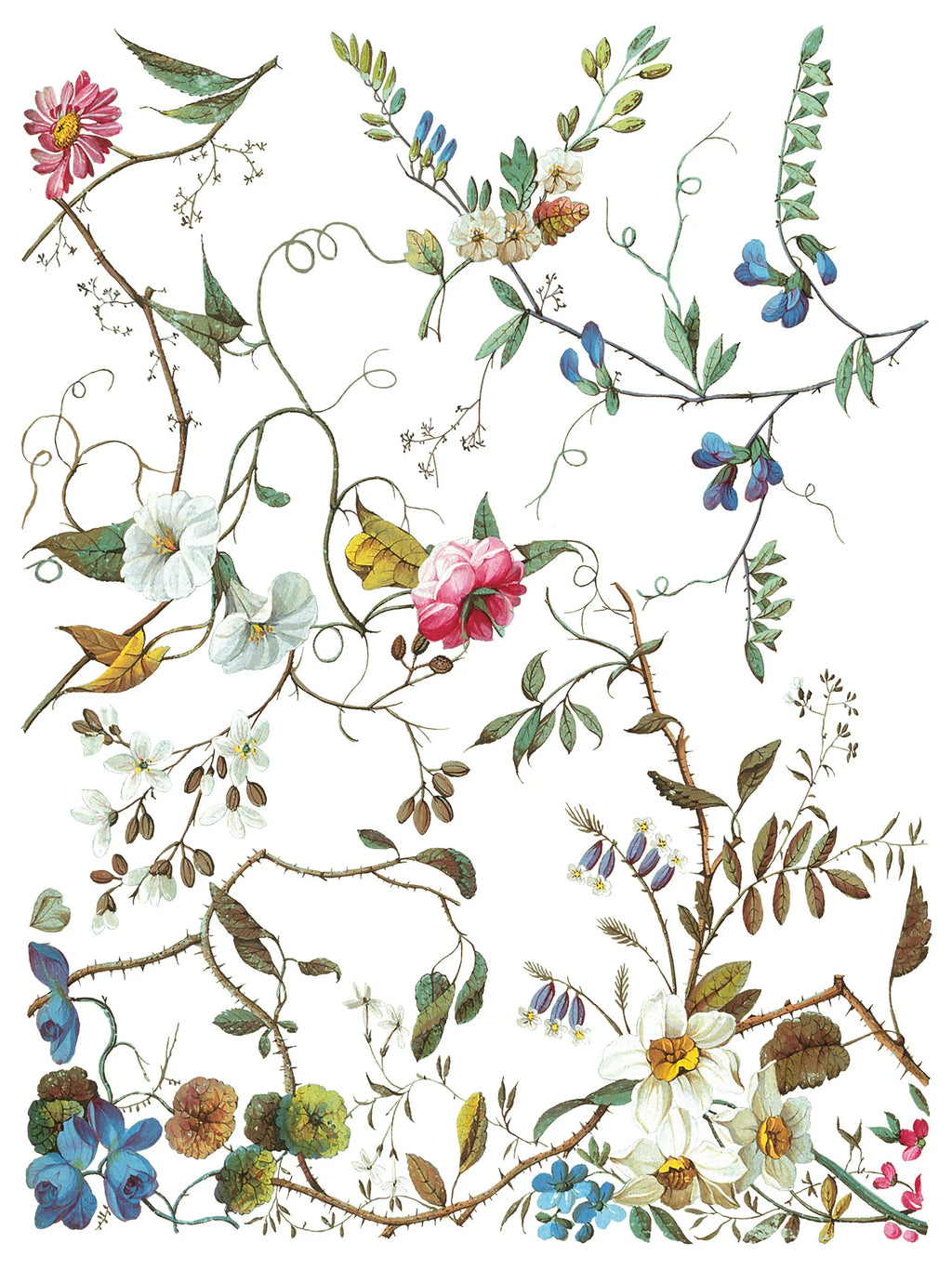 Lost Garden IOD Transfer Pad 12x16