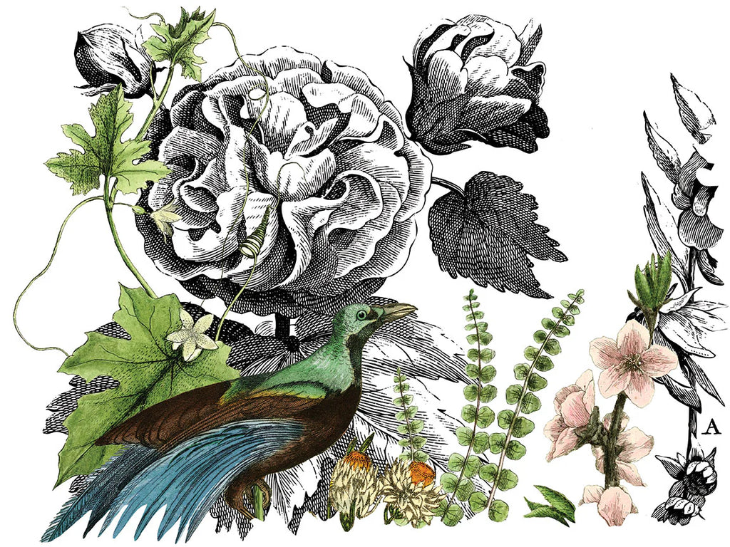 Midnight Garden IOD Transfer Pad 12x16