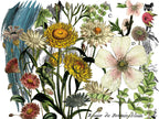 Midnight Garden IOD Transfer Pad 12x16