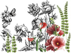 Midnight Garden IOD Transfer Pad 12x16