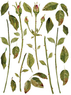 Painterly Florals IOD Transfer Pad 12x16
