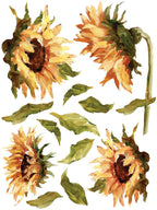 Painterly Florals IOD Transfer Pad 12x16