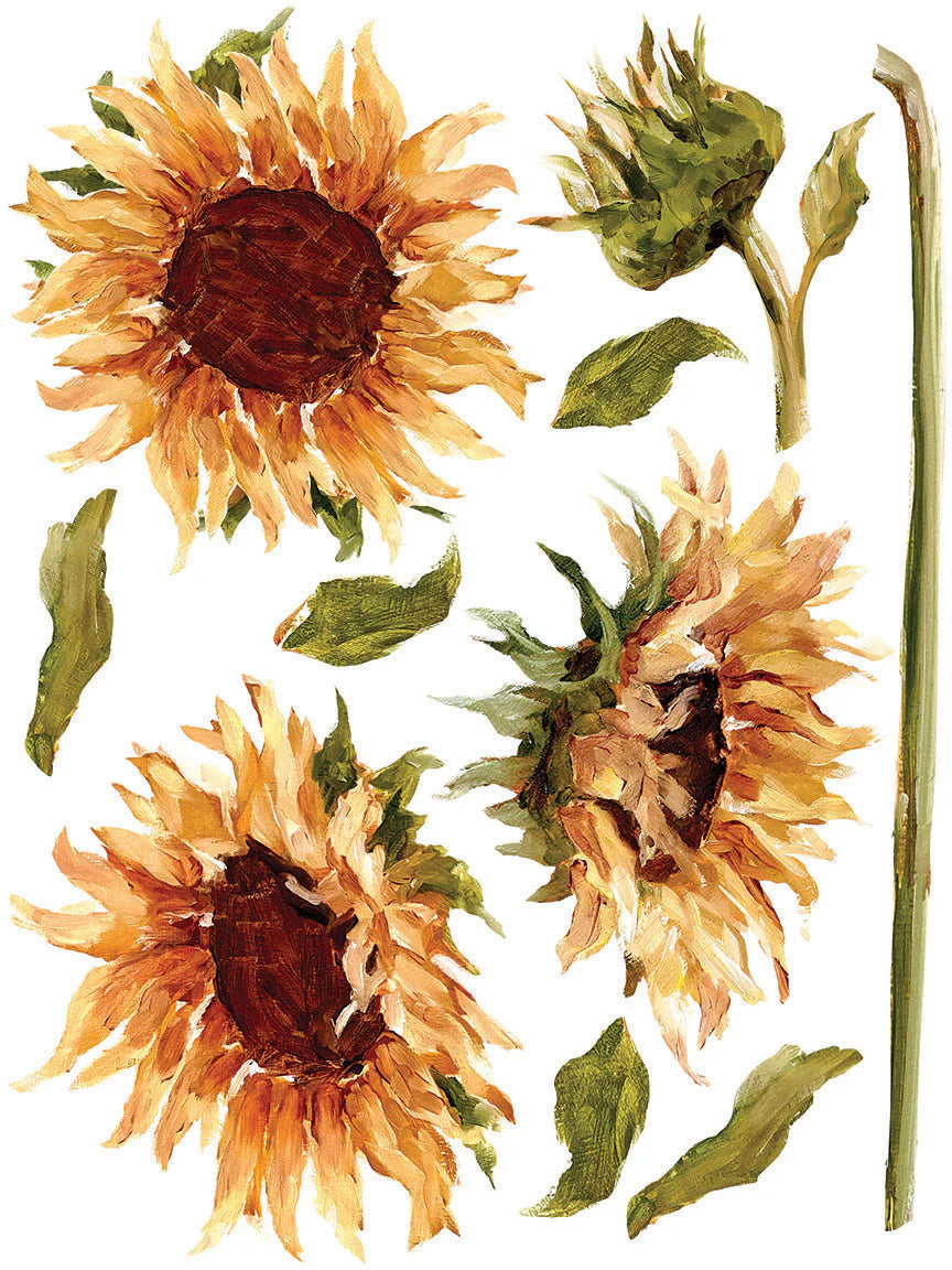 Painterly Florals IOD Transfer Pad 12x16