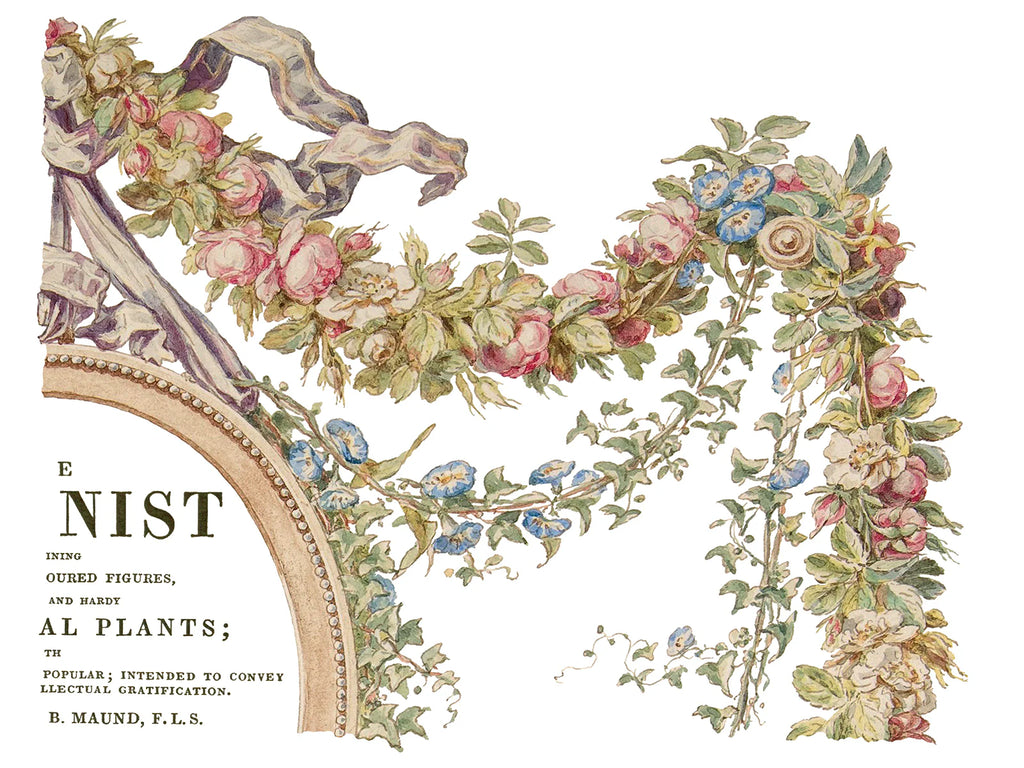 The Botanist IOD Transfer Pad 12x16