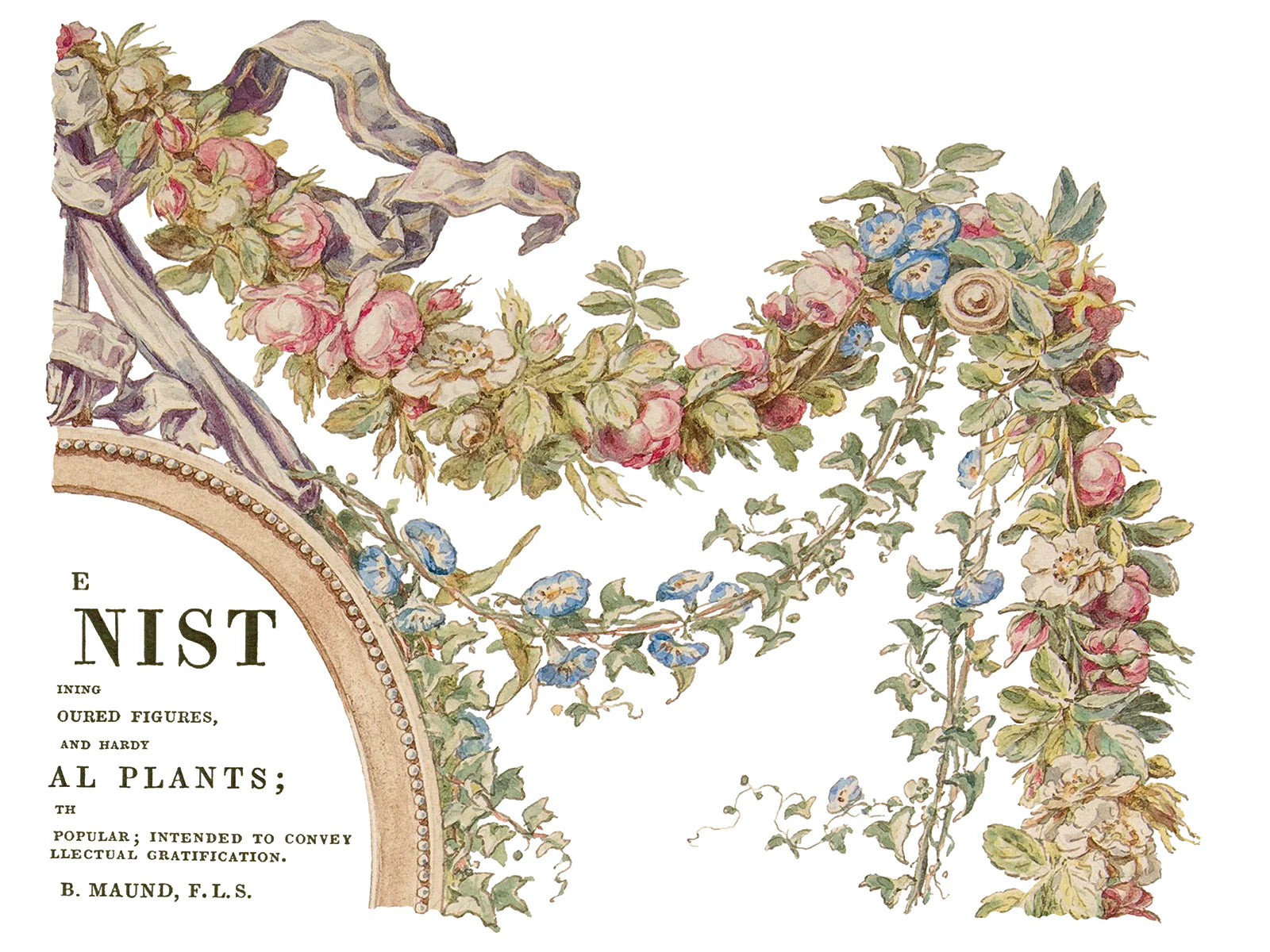 The Botanist IOD Transfer Pad 12x16