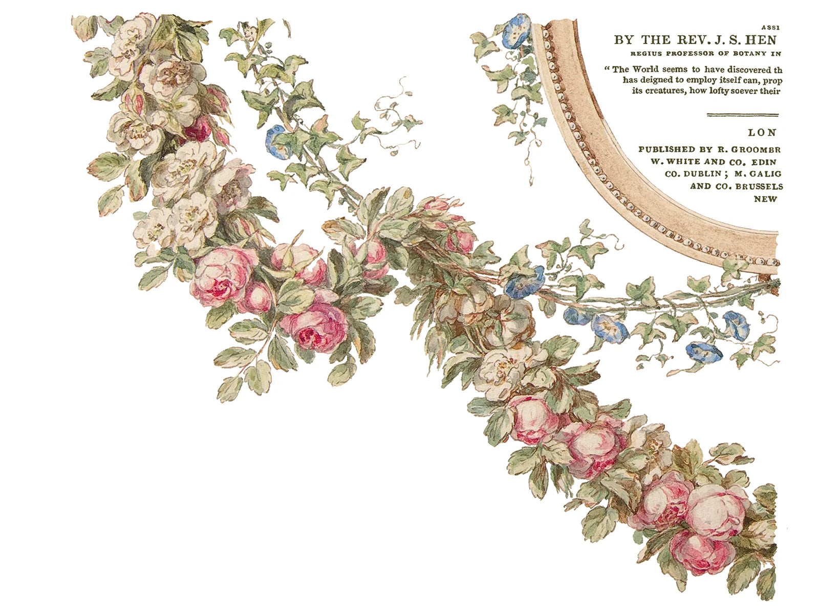 The Botanist IOD Transfer Pad 12x16
