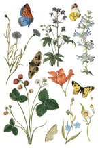 Wilde Bloemen IOD Transfer Pad 8x12