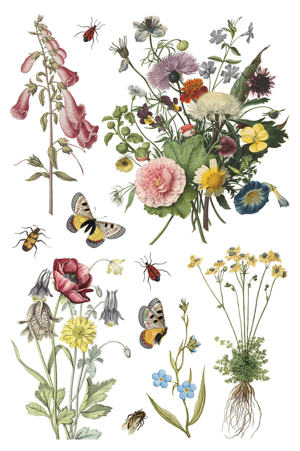 Wilde Bloemen IOD Transfer Pad 8x12
