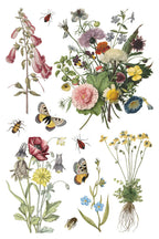 Wilde Bloemen IOD Transfer Pad 8x12