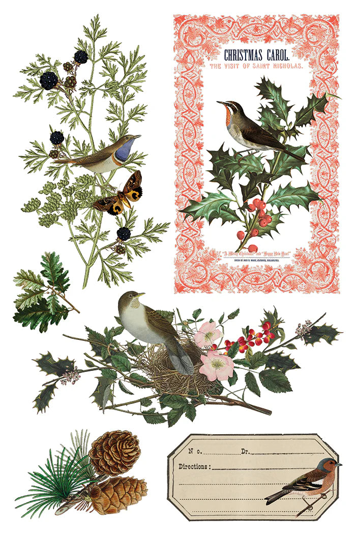 Winter Botanist IOD Transfer Pad 8x12