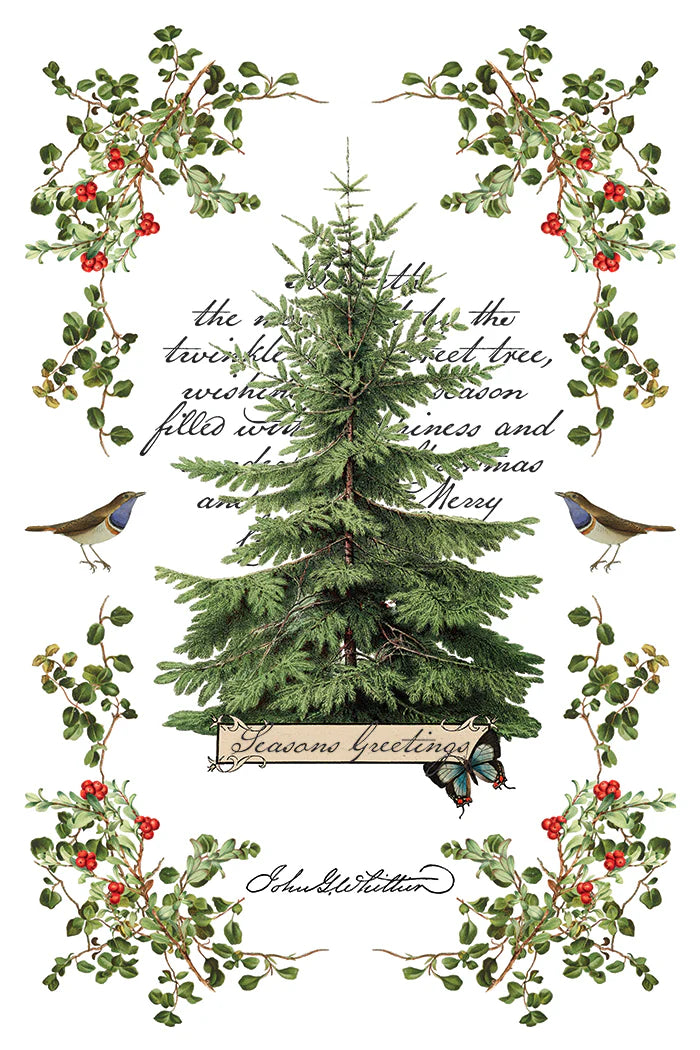 Winter Botanist IOD Transfer Pad 8x12
