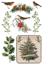 Winter Botanist IOD Transfer Pad 8x12