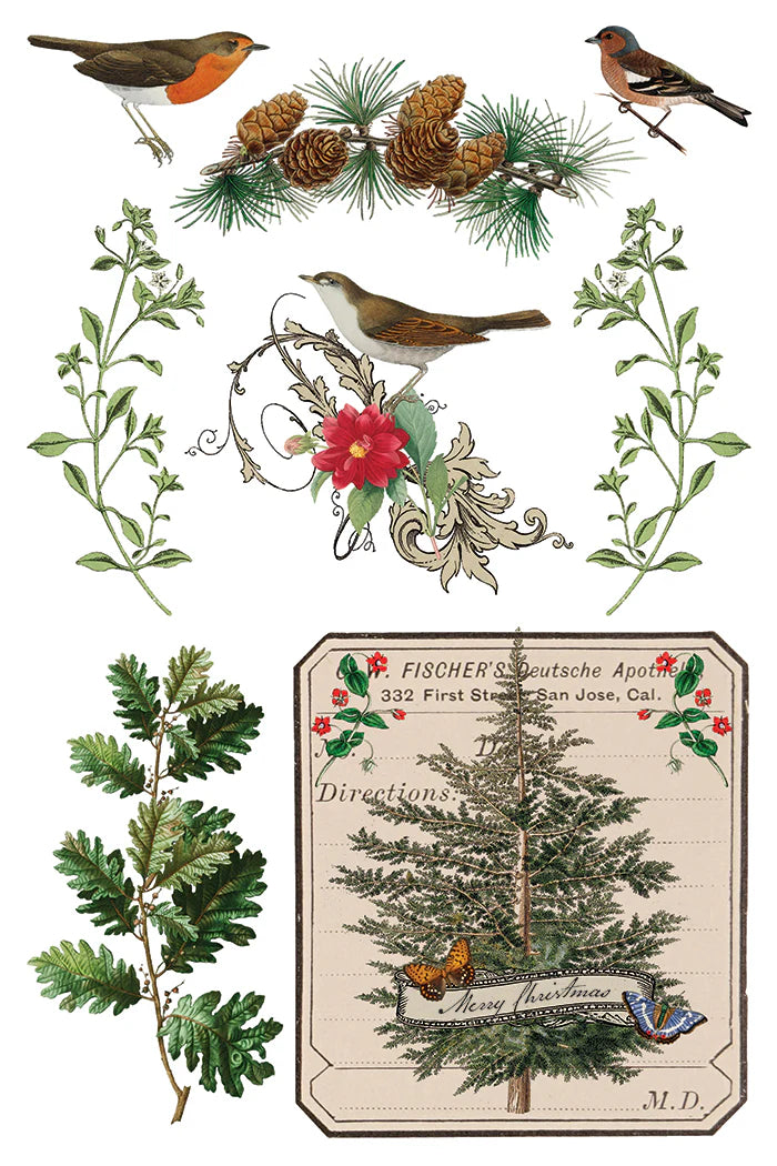 Winter Botanist IOD Transfer Pad 8x12