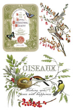 Winter Botanist IOD Transfer Pad 8x12