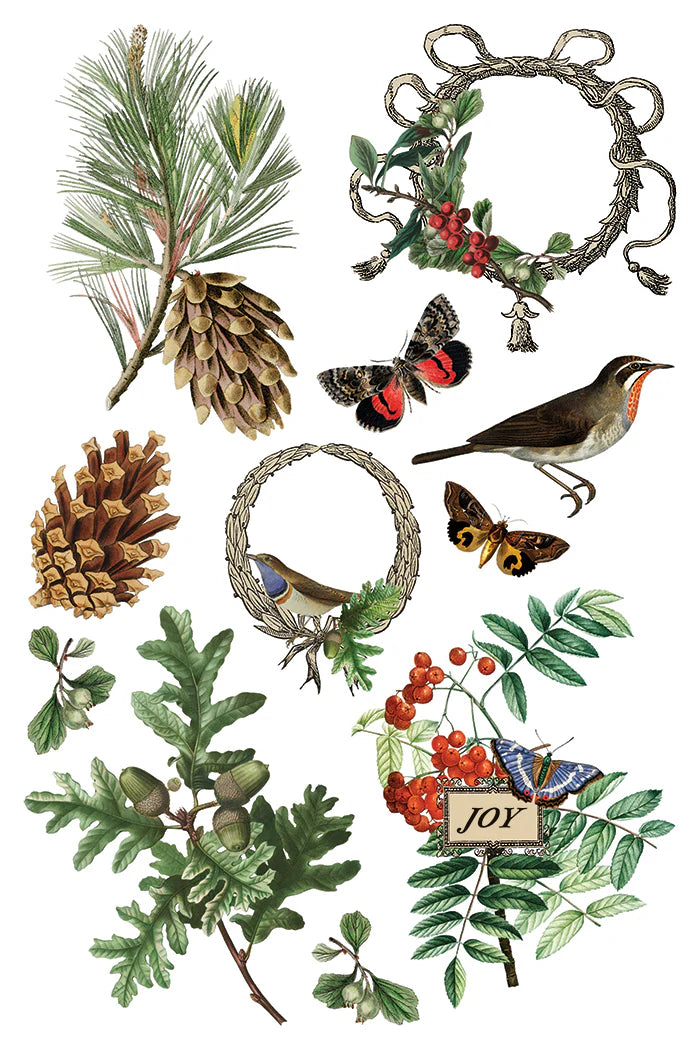 Winter Botanist IOD Transfer Pad 8x12