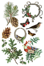 Winter Botanist IOD Transfer Pad 8x12